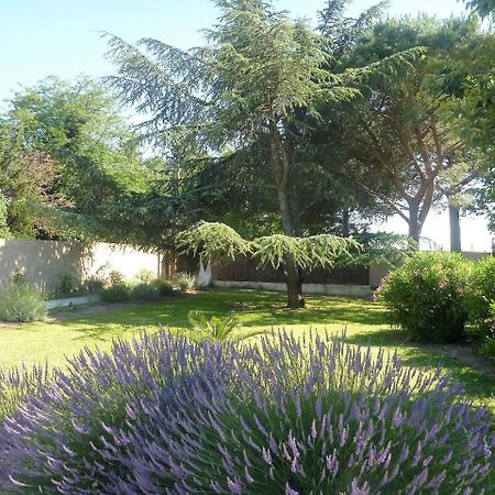 Le Mas De Gleyzes B&B De Charme Lédenon Eksteriør billede